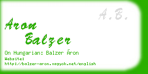 aron balzer business card